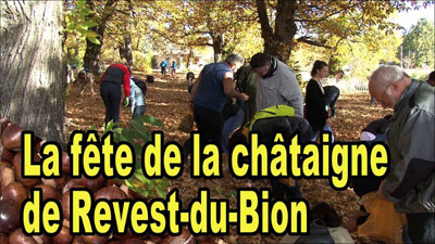 fête de la chataigne au revest du bion